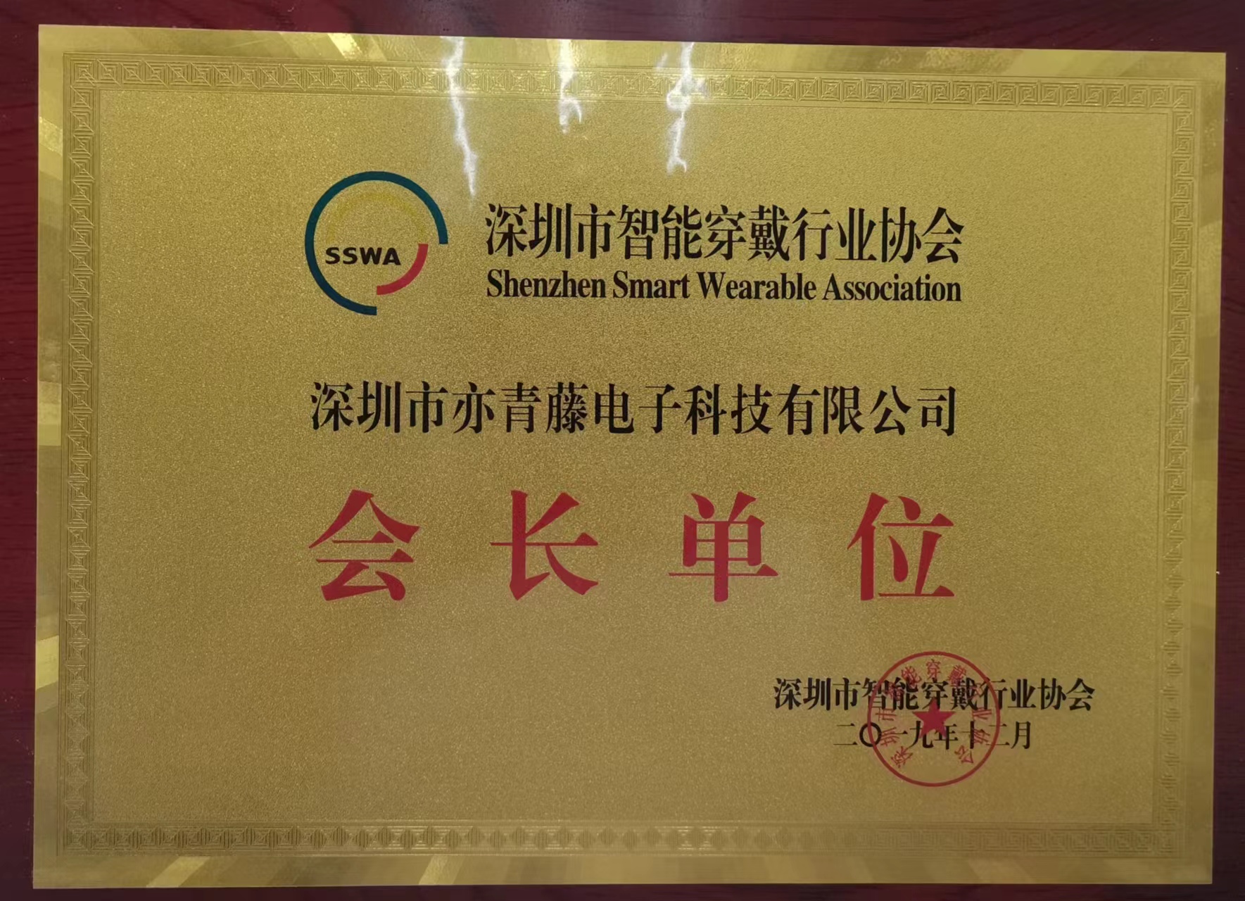 宝安智能穿戴协会会长单位